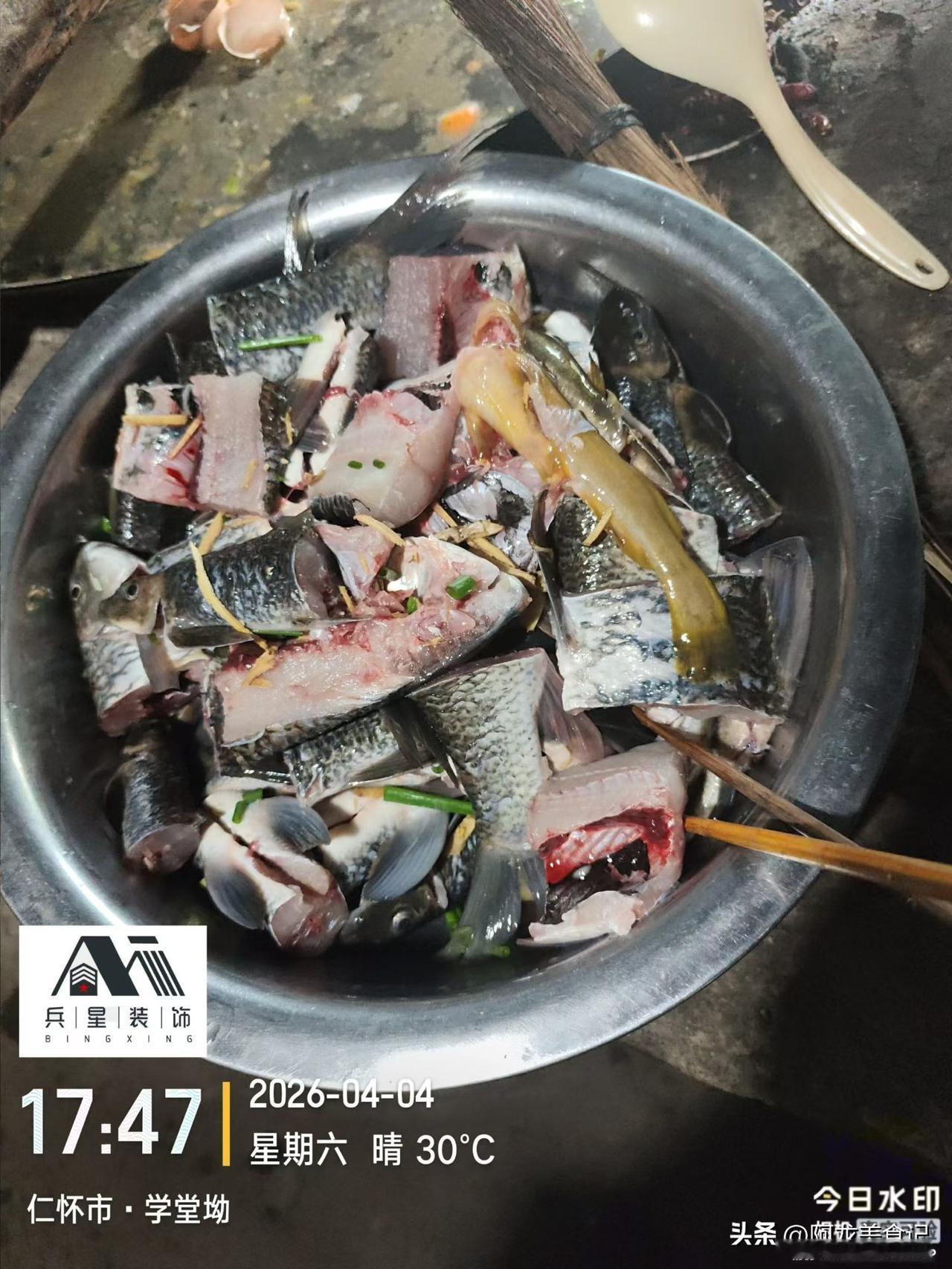 吃正宗活鱼那感觉，简直太爽！上次去一家江边小馆，老板现捞活鱼，那鱼在盆里活蹦乱跳