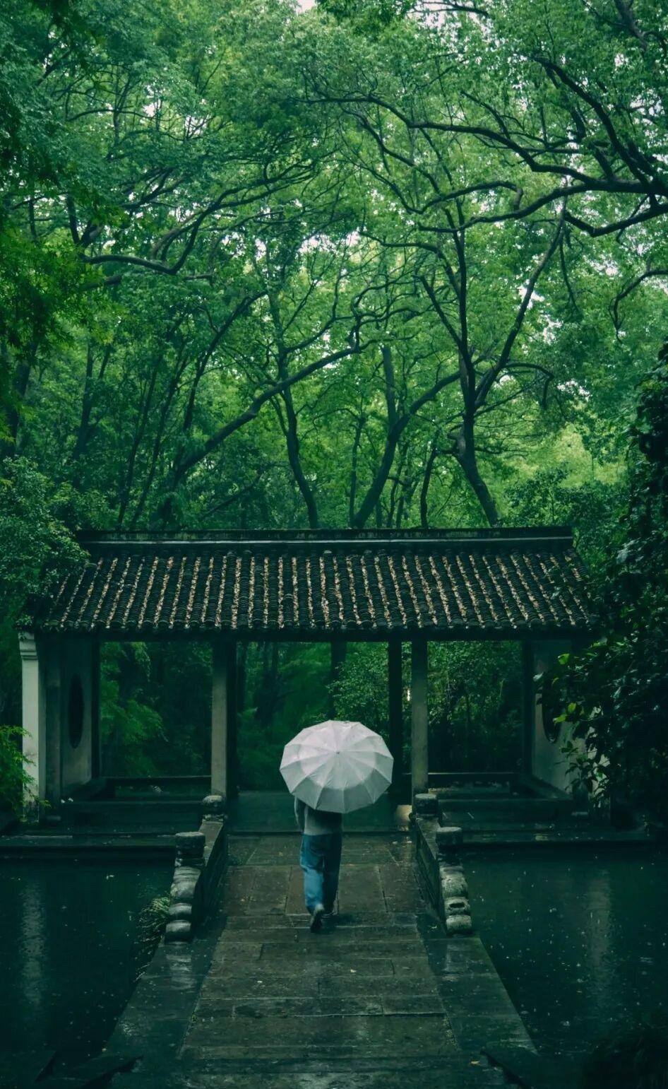 《高阳台·听雨》雨镂疏窗，风斜坏角，春寒细冱重城。万点银钩，倒悬苍冥写清。垂珠不
