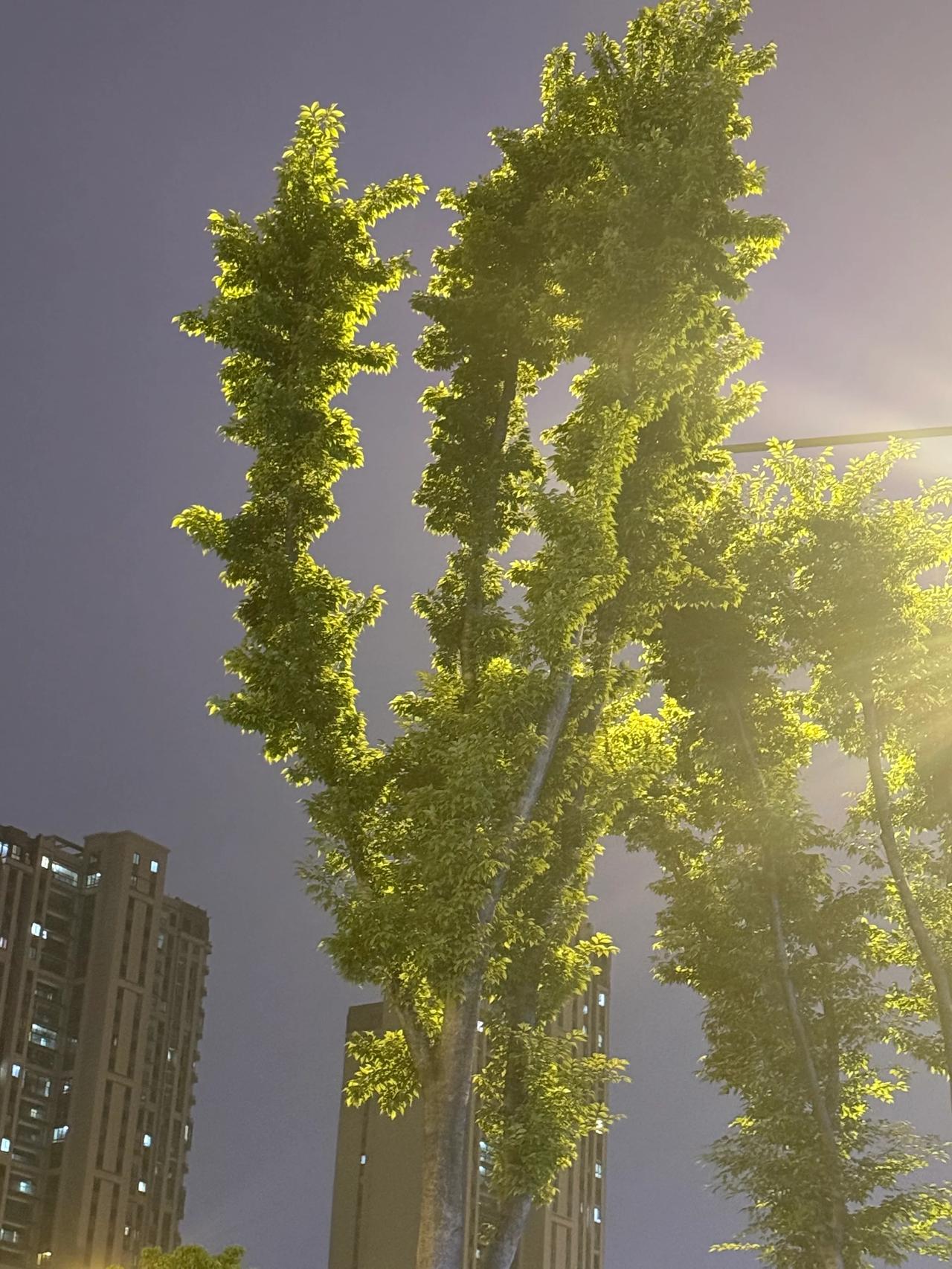这是什么性学专家啊！

作为一个性学专家，
她的研究方向是性方面的，
既然是有关