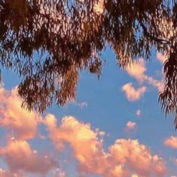 每日一善  每日一善   阳光信用 相信梦想是价值的源泉，相信眼光决定未来的一切