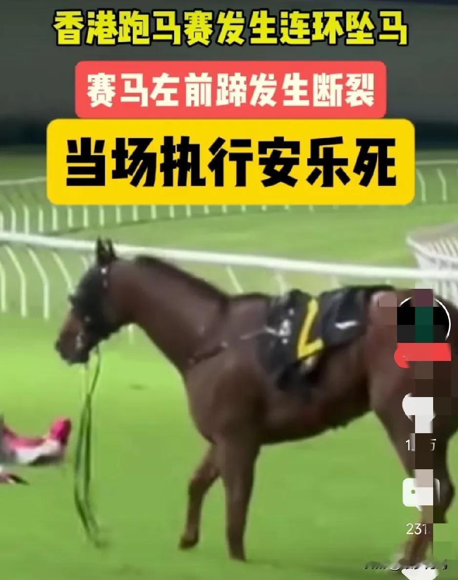 怎么一场赛马就能联想到国足呢？
香港有匹马前蹄断裂，当场就被执行安乐死，这是不是