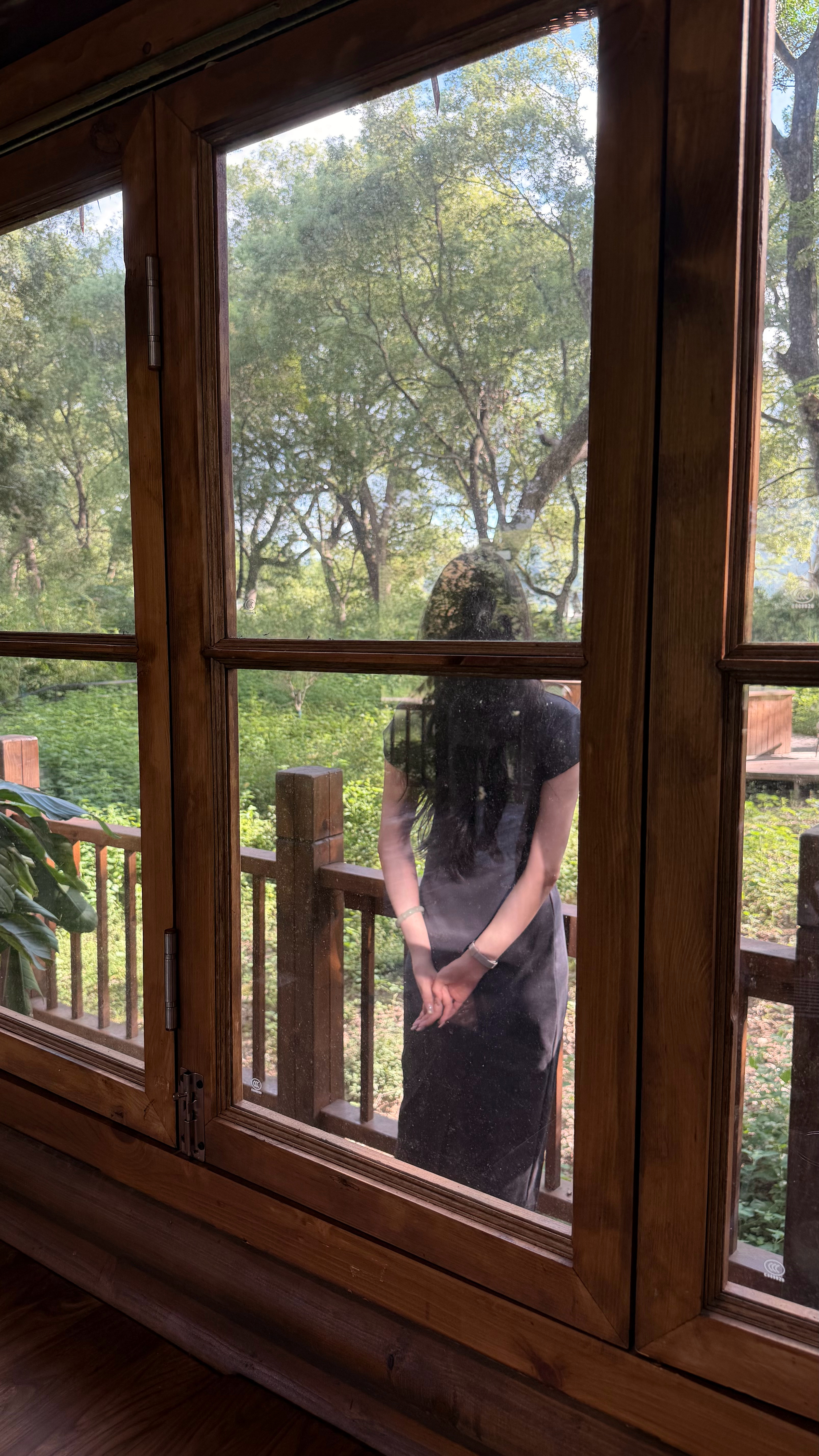 🧺‧₊˚.🦌₊ ‧⸝🌳 