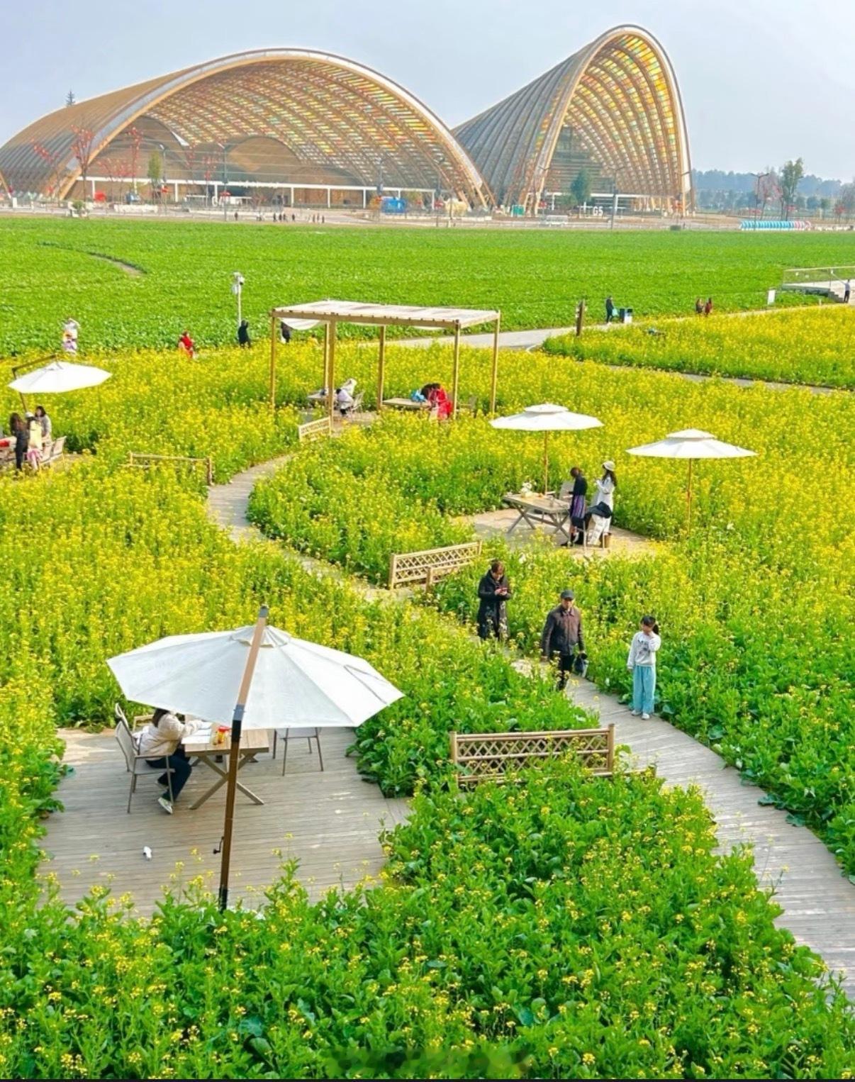 生态文旅激活消费新活力好山好水正成为消费新引擎。生态文旅不再是简单看风景，而是露