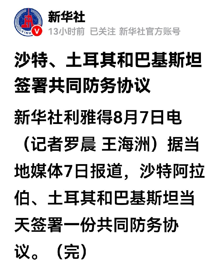 沙土巴共同防务协议看似为各方增添了一份安全保障，但也有不利因素也不容忽视！
这么