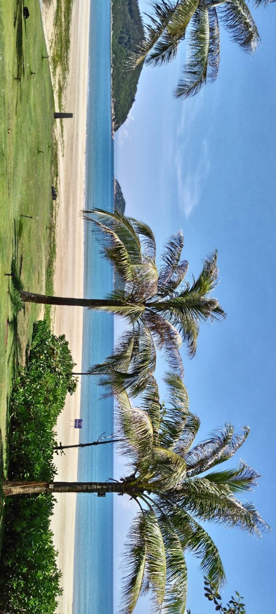 热带天堂，碧海蓝天，椰林沙滩，度假胜地