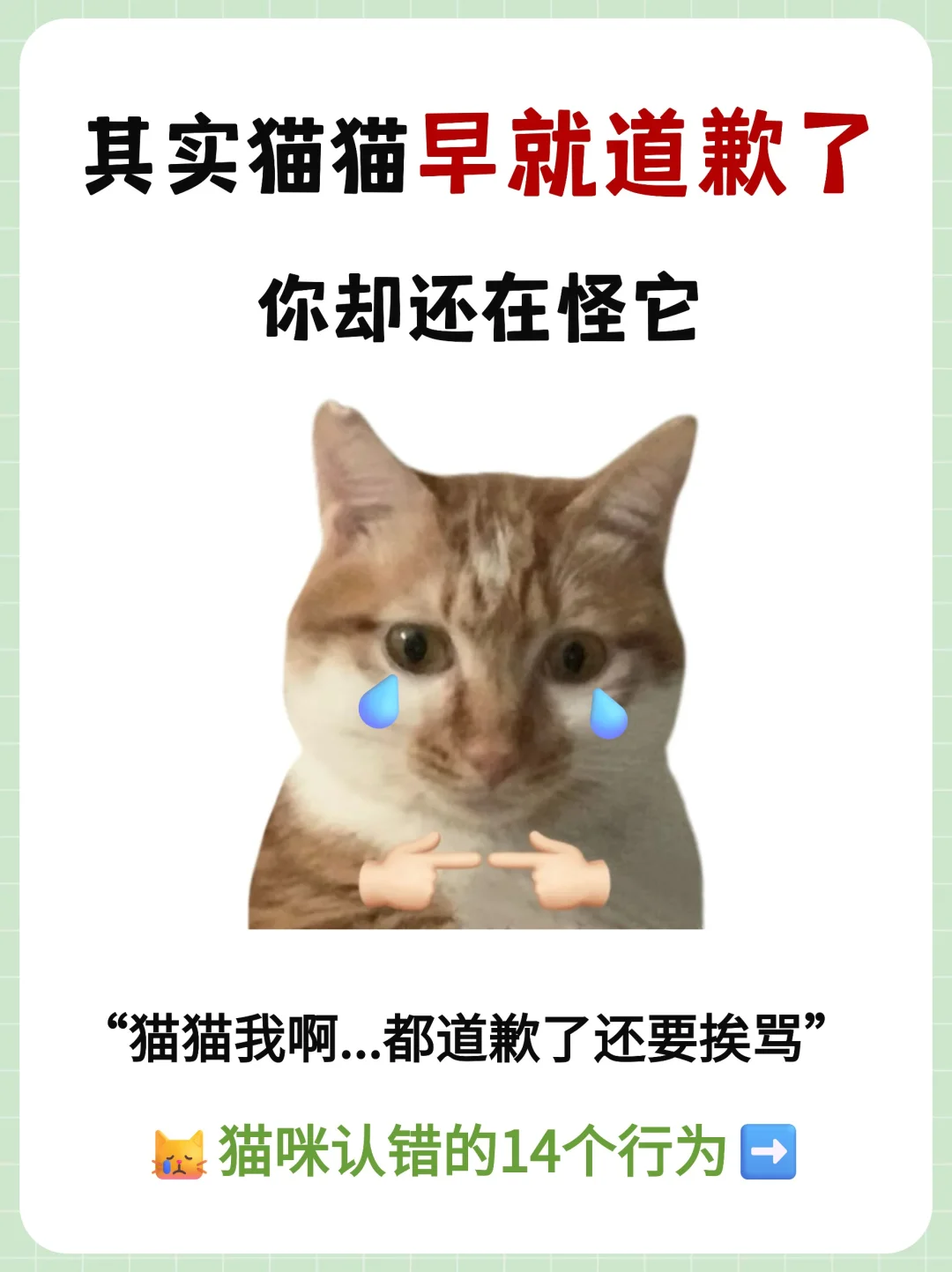 😿其实猫猫早就道歉了❗别再责怪它了