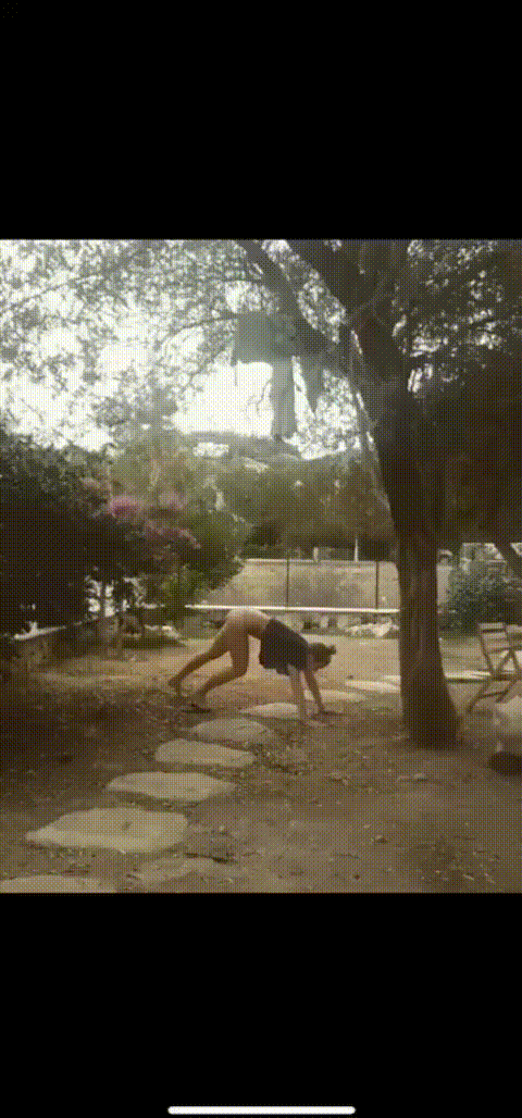 好可爱的狗狗 ​​​