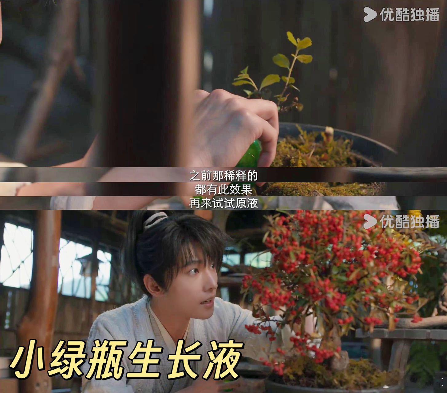 凡人修梗传 鸡蛋作筑基丹，观众太有才啦 ​​​