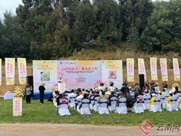 “文秀”“娇龙”两款鲜切花正式上市！
