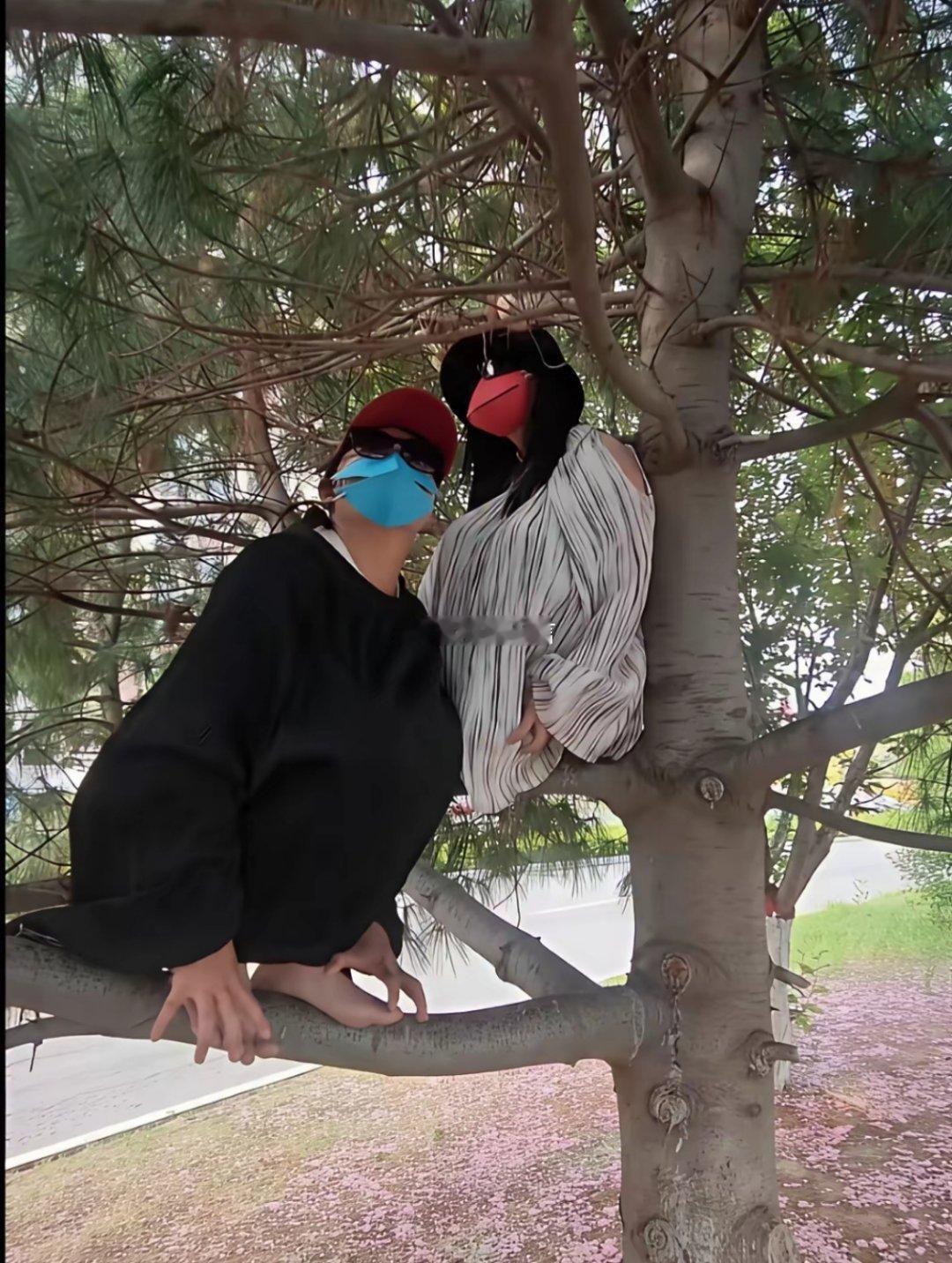 拍摄效果的重要性，远看还以为是几只黑老鹰呢！ 