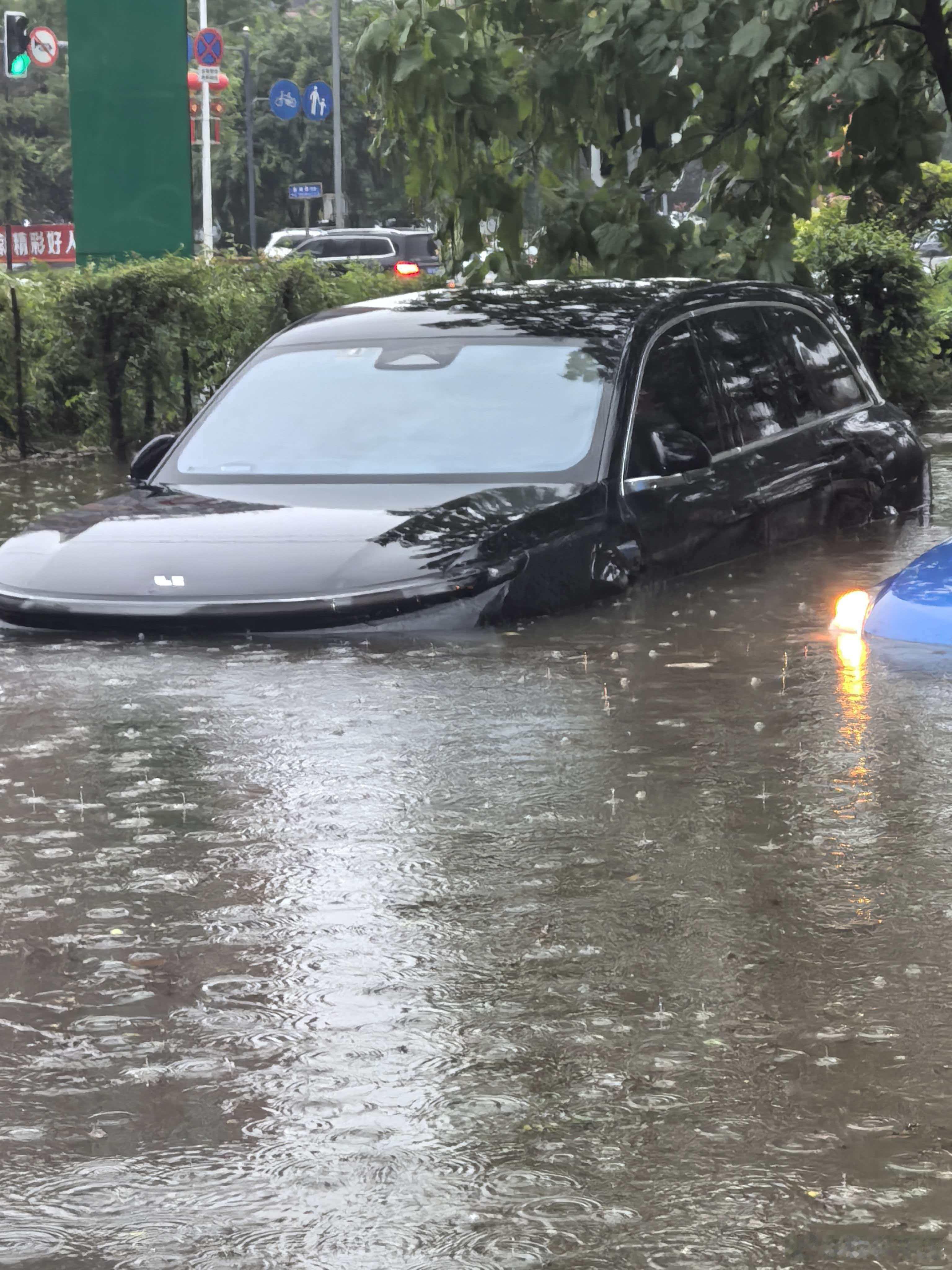 理想车主滑铁卢，这次居然没有想到老天爷会治我 这大雨下的，往哪停都难躲啊…… 