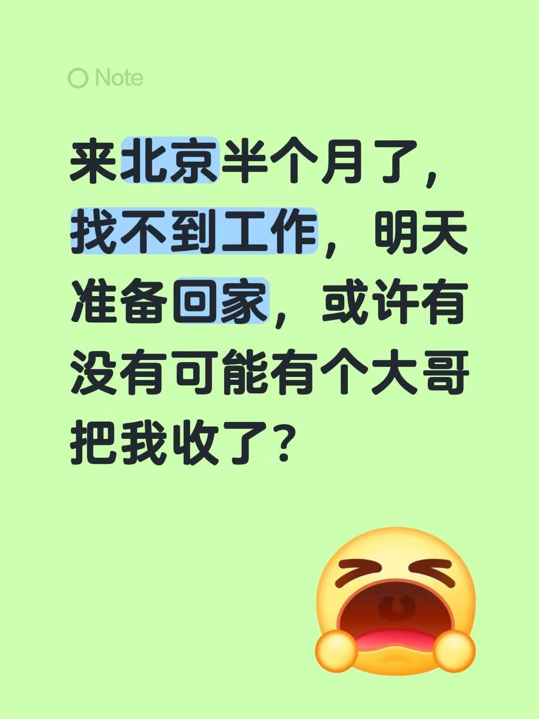 来北京半个月了，找不到工作，明天准备回家，或许有没有可能有个大哥把我收了？
