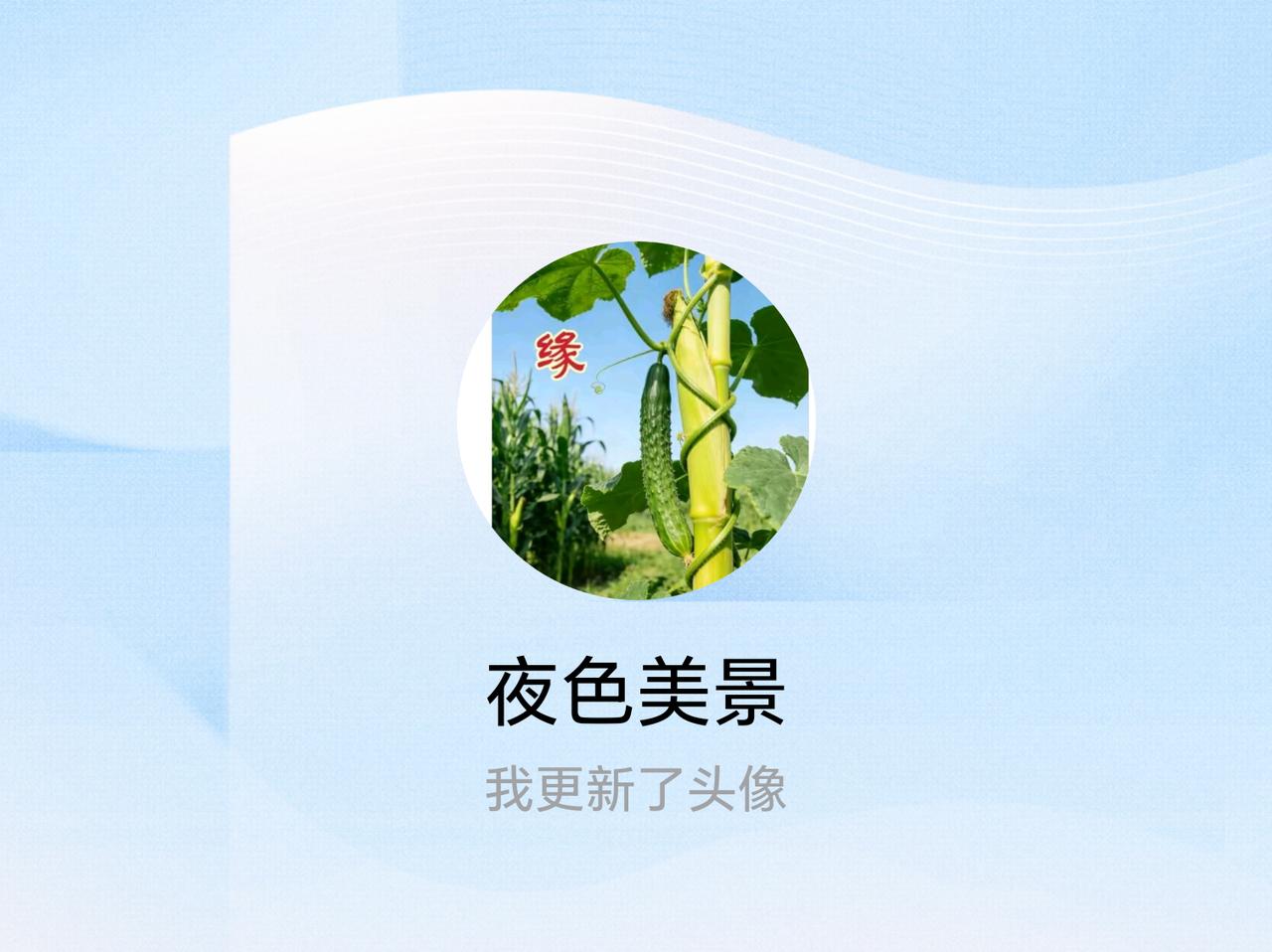 快来看看我新换的头像吧