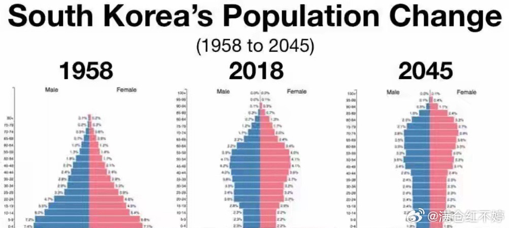 进入灭亡倒计时？韩国或将成为世界上，首个自然消失的国家韩国这个国家挺有意思的，经