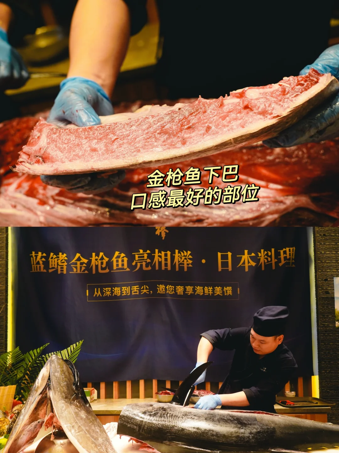 超震撼！西单216斤蓝鳍金枪鱼开鱼仪式🐟