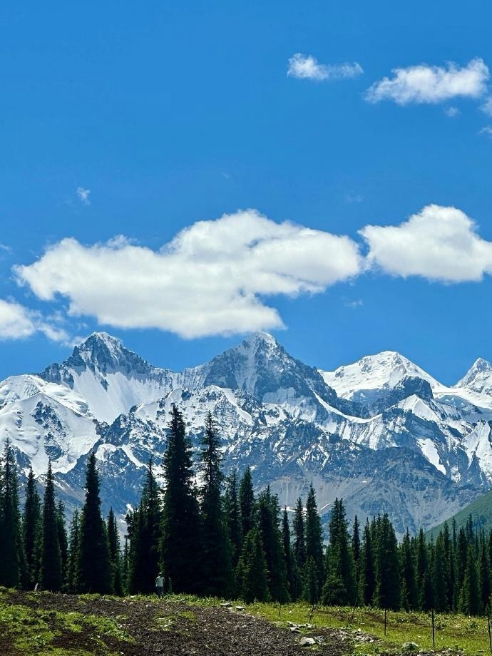 靠，精选不能转，app转不了。那就加大致远一层，下周满头七直接卖掉精选那一层。总