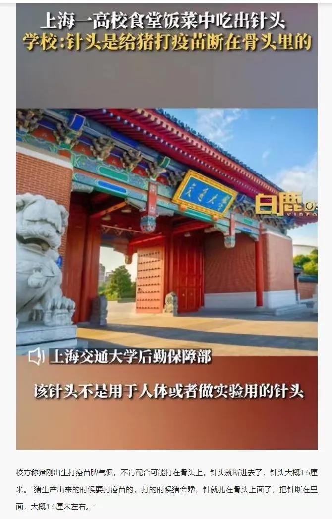 这头猪……挺不容易。

打个疫苗，针断在了骨头里，然后一直到死都留着，跟着它来到