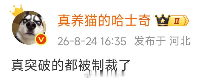 这是什么意思？ 