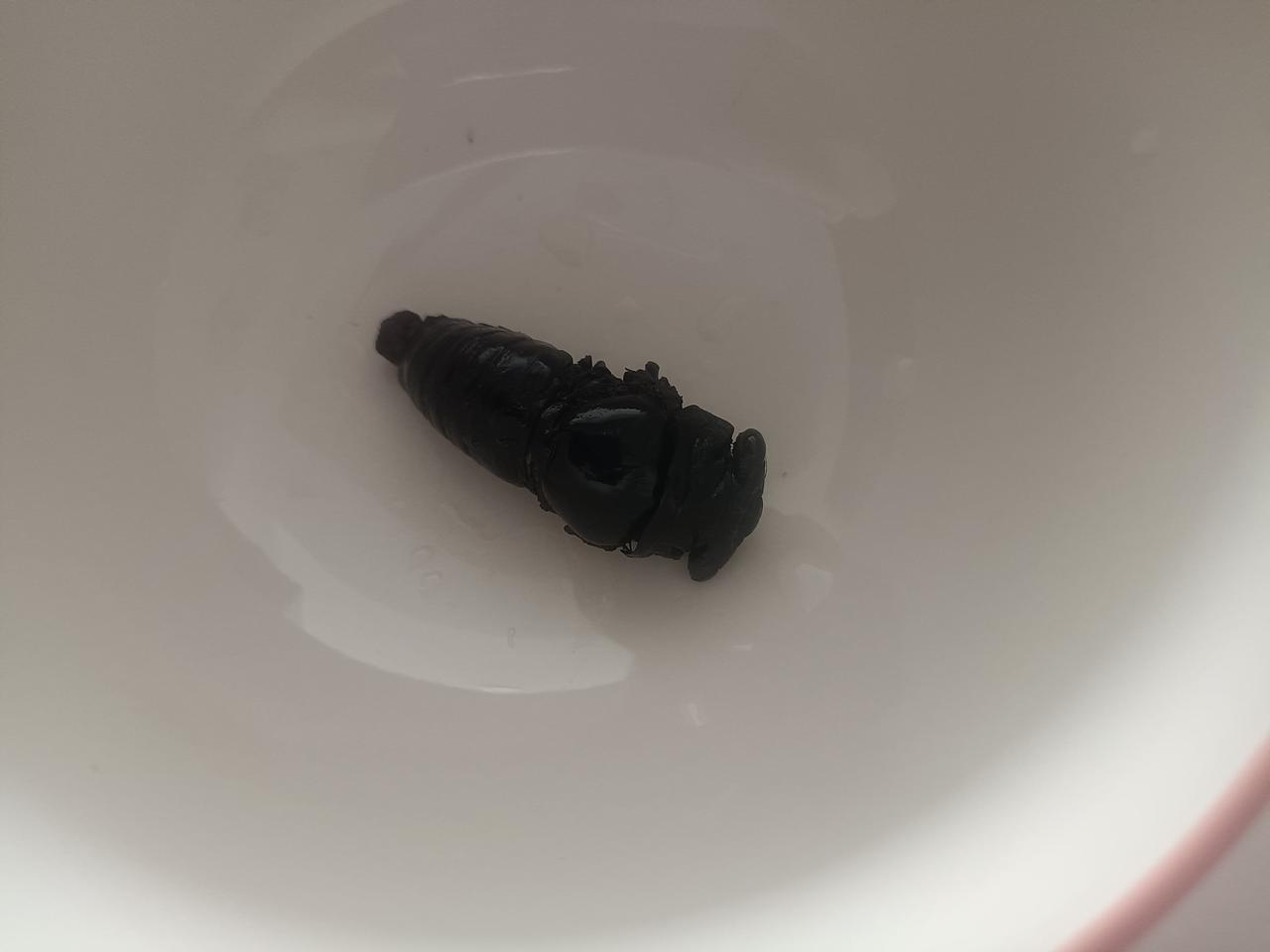 我家先生不知道从哪听说的知了是高蛋白，很好吃的，他说我敢吃就奖励我5000块钱，