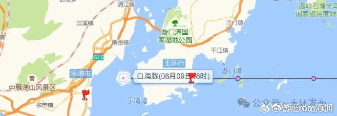 玉环一个月两战台风炼真金 最见功力的是这份“把教训变成肌肉”的快。第一次，手忙脚