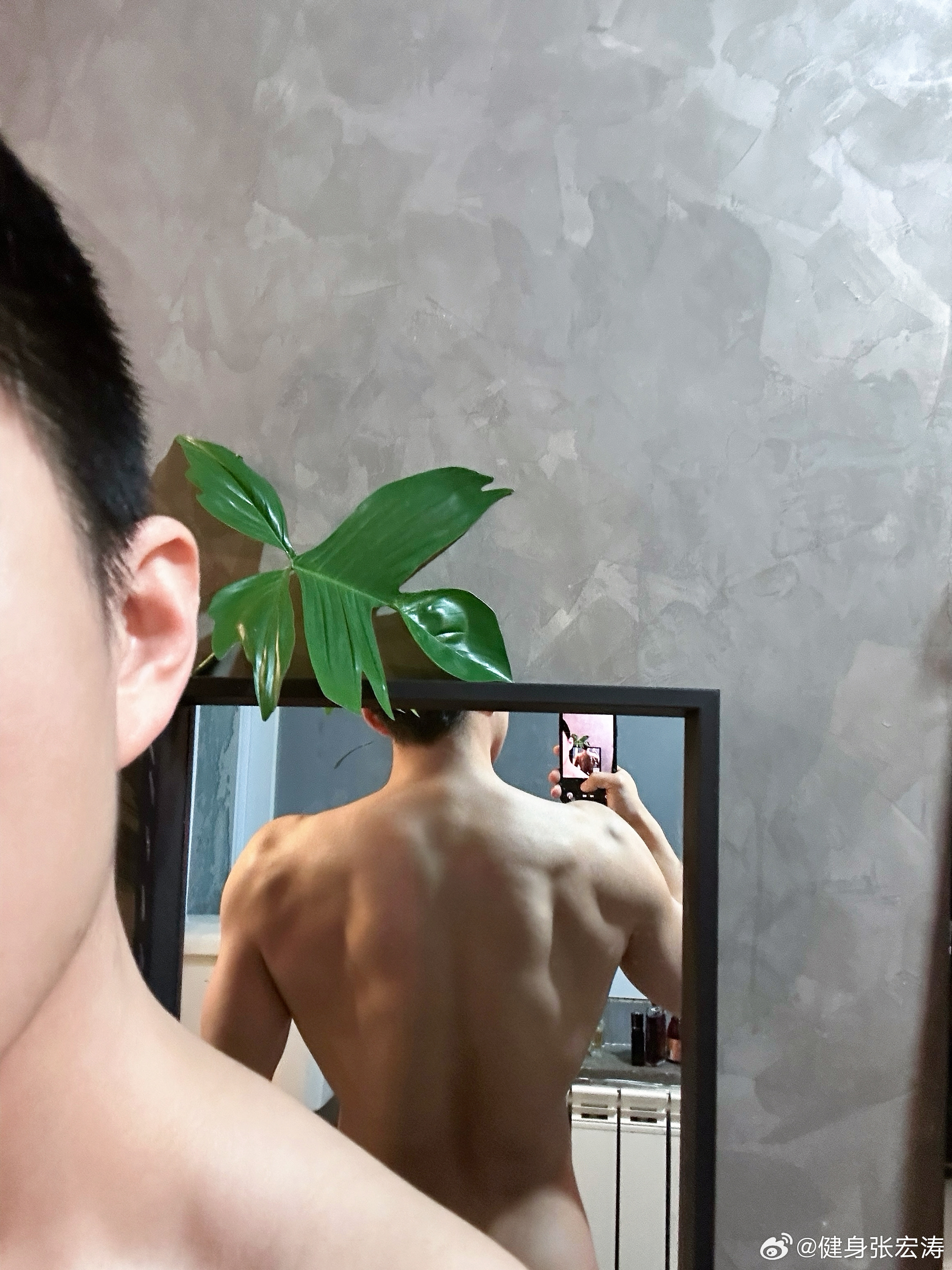 不知不觉中 似乎已经不需要 3/4 展背就可以看到明显的背部肌肉了 健身张宏涛