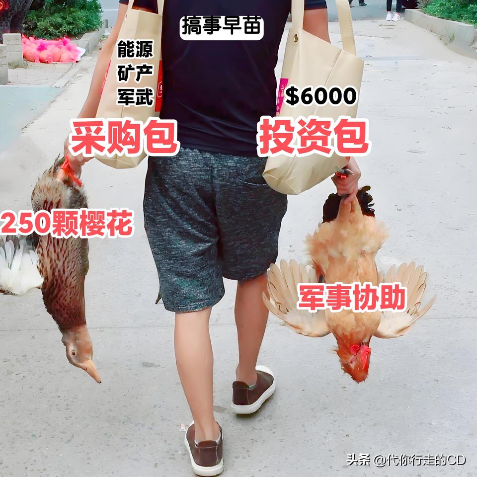 诚意满满而去，悻悻而归。