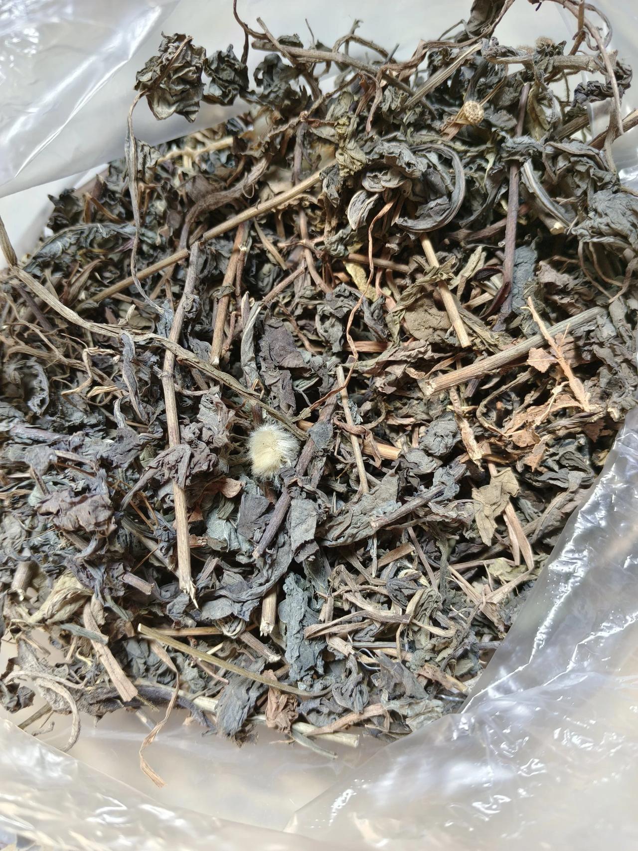 刚才去药店买了十元钱的干蒲公英，咋看着不像呢，就看到里面有一束蒲公英花，想着应该