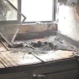 小狗将瘫痪主人拽下床躲过大火报恩狗狗 西安·华严寺