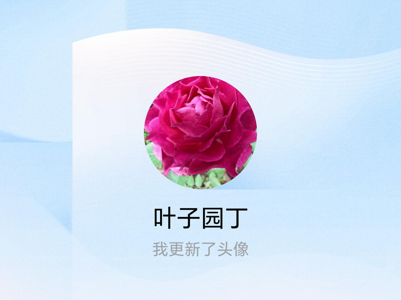 快来看看我新换的头像吧