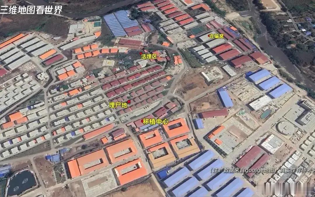 星星预计1至2天可返回中国 演员王星到泰国拍戏，结果被骗绑架到缅甸。王星被泰国政