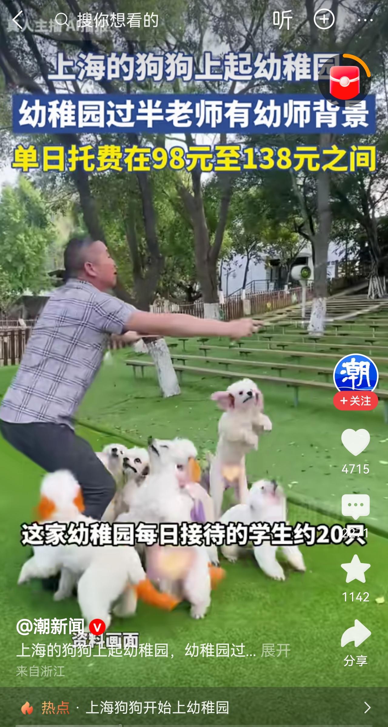 幼师转型当宠物训导师，这不是什么笑话，而是现实。幼儿园关停，宠物经济快速发展，宠