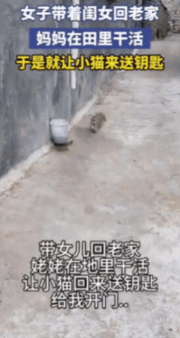 太有灵性了！山东，女子带着闺女回老家，妈妈在田里干活，她本想过去拿，不料，妈妈却
