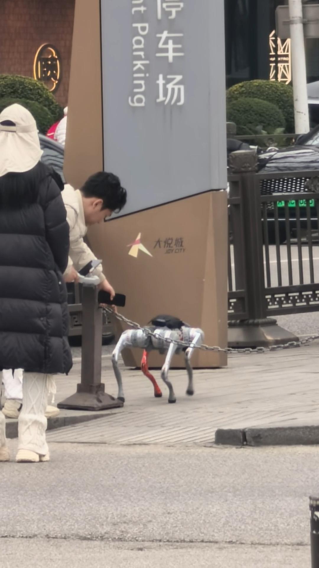 汉服、机器狗与一座城市的温柔

傍晚五点的光，被薄云滤过，温温软软地洒下来。从西