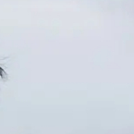 CCTV6 早安，鸟语花香感激这个世界中永存的美好和温暖，哪怕只是一点点，也有无