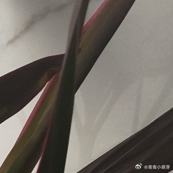 人生本是一场独自朝圣，阅尽云聚云散，于喧嚣守住内心清宁。在寂静里走好漫漫长路，不