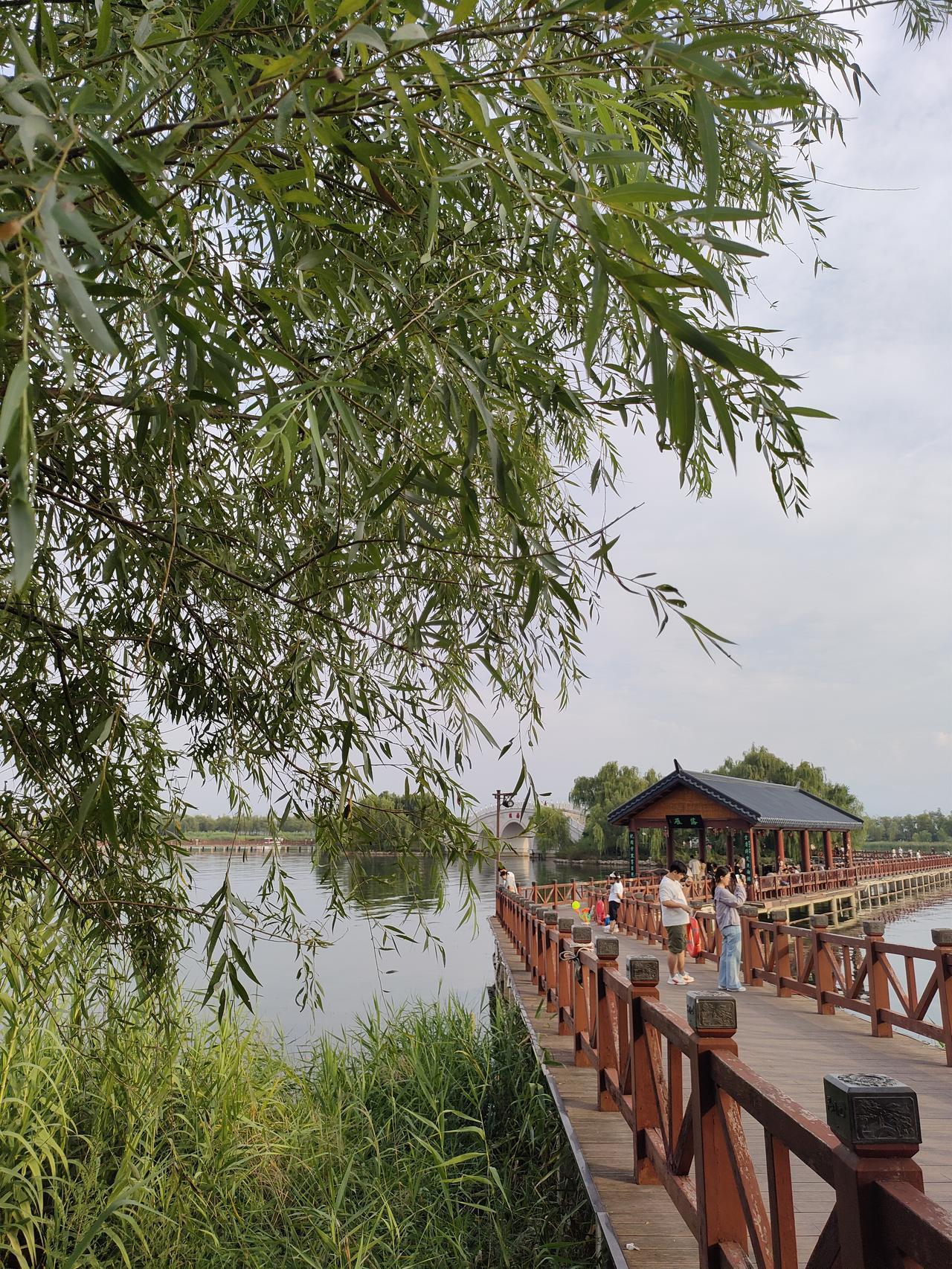 随手拍的美图:不必奔赴远方，和家人一起悠闲散步，吹吹微风，看看人间烟火，这份平淡