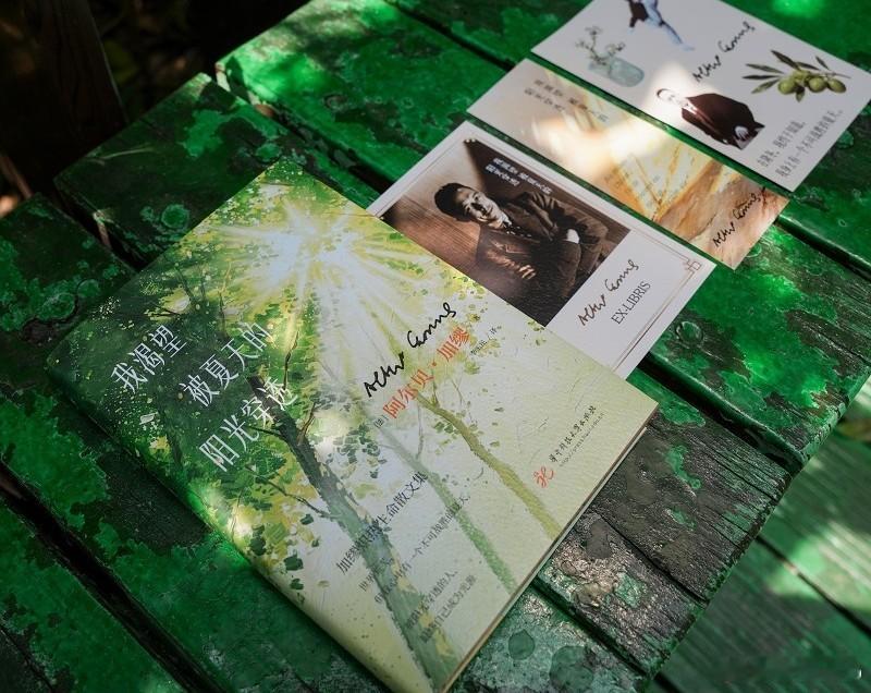 知書club 再版书丨本书是诺贝尔文学奖得主阿尔贝·加缪的经典散文集，收录《反与