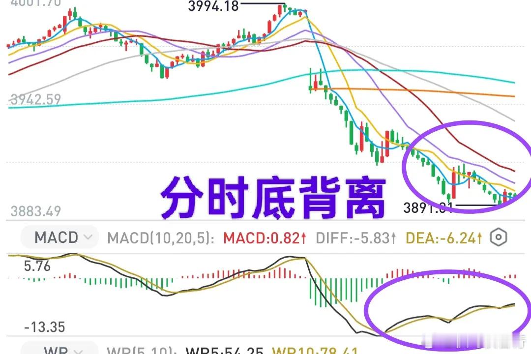 A股：大盘有企稳迹象。大盘下午跌破了3900点，跌到了3891点一线，跌到了中期