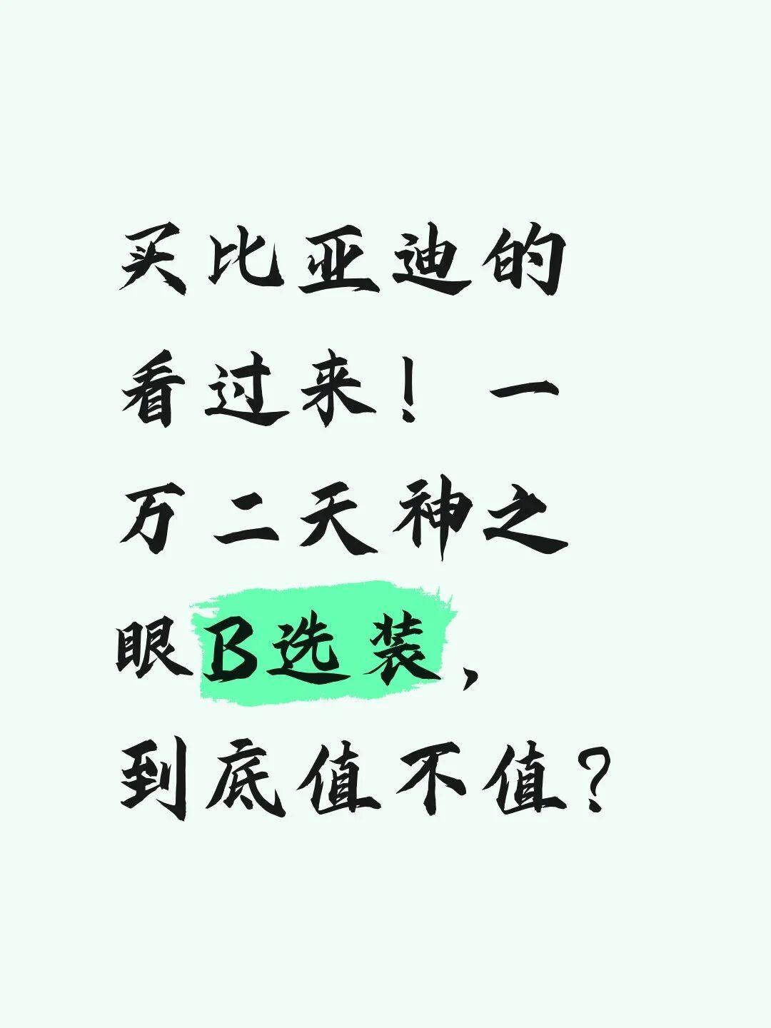 比亚迪一万二的天神之眼B选装，值不值？

最近好几个朋友订比亚迪，全卡在选配单上