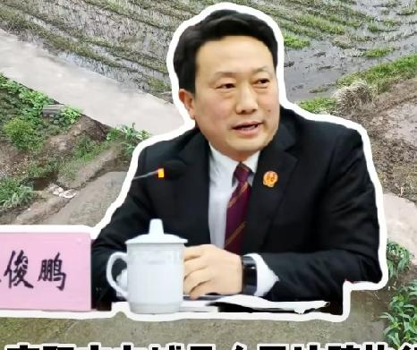 南阳市，方城县法院法官麻俊鹏被查，曾担任庭长超11年

麻俊鹏，个人信息及前期履