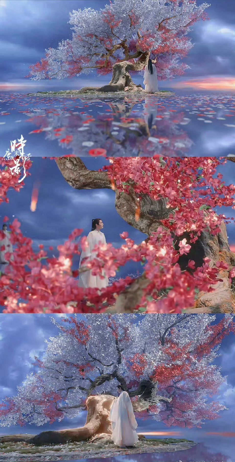 ♡⃝ 𝒍𝒐𝒗𝒆 ʚɞ ☽⋆❥ »» 肖战 惊鸿落眼底，风月皆归你。最好的