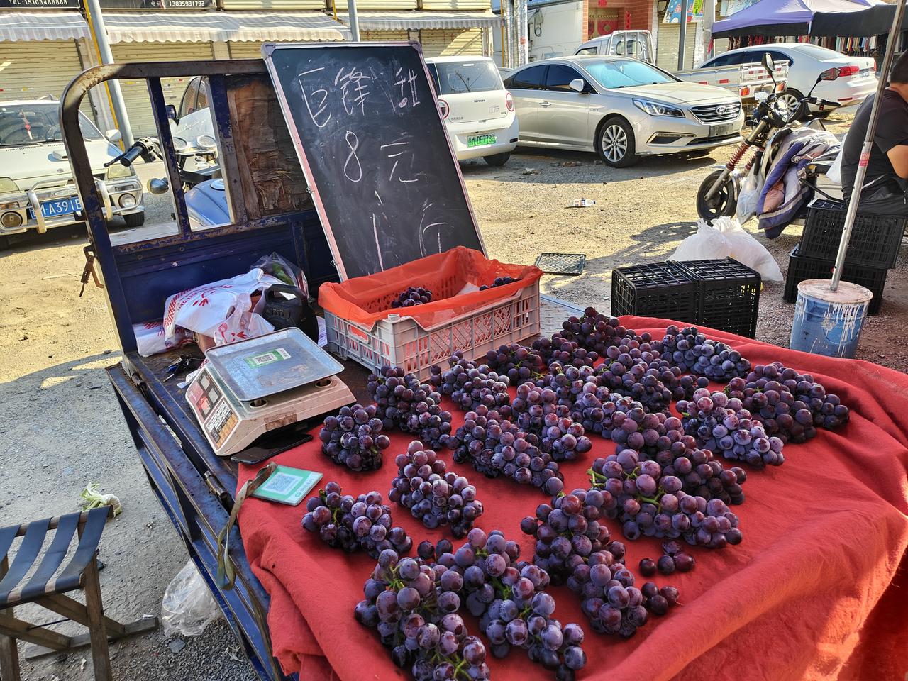 瞧瞧，今日运城盐湖西街早市，一位大叔在卖🍇紫色的巨峰8元一斤，绿宝石7元一斤，