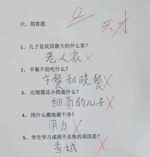 【小学生“奇葩”语文试卷走红，爸妈看了想打人，网友：应该给满分】
这道简答题，本