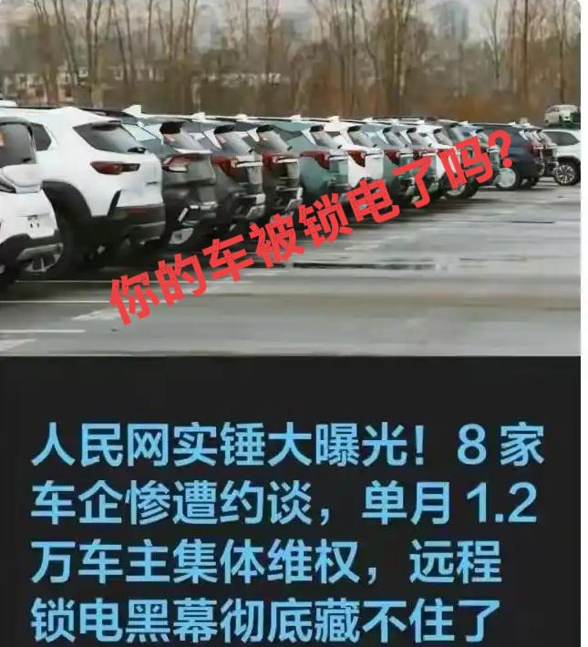 哪个车企锁电？‼️
哪个车企在锁电？
一己之私竟蛮干。
对于客户不负责，
祭出昏