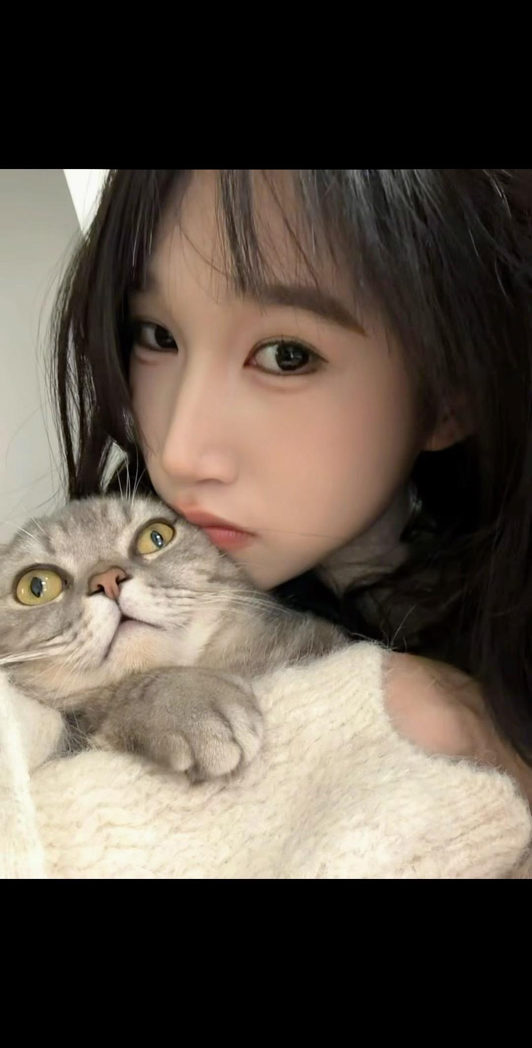 我的猫咪 是真猫！