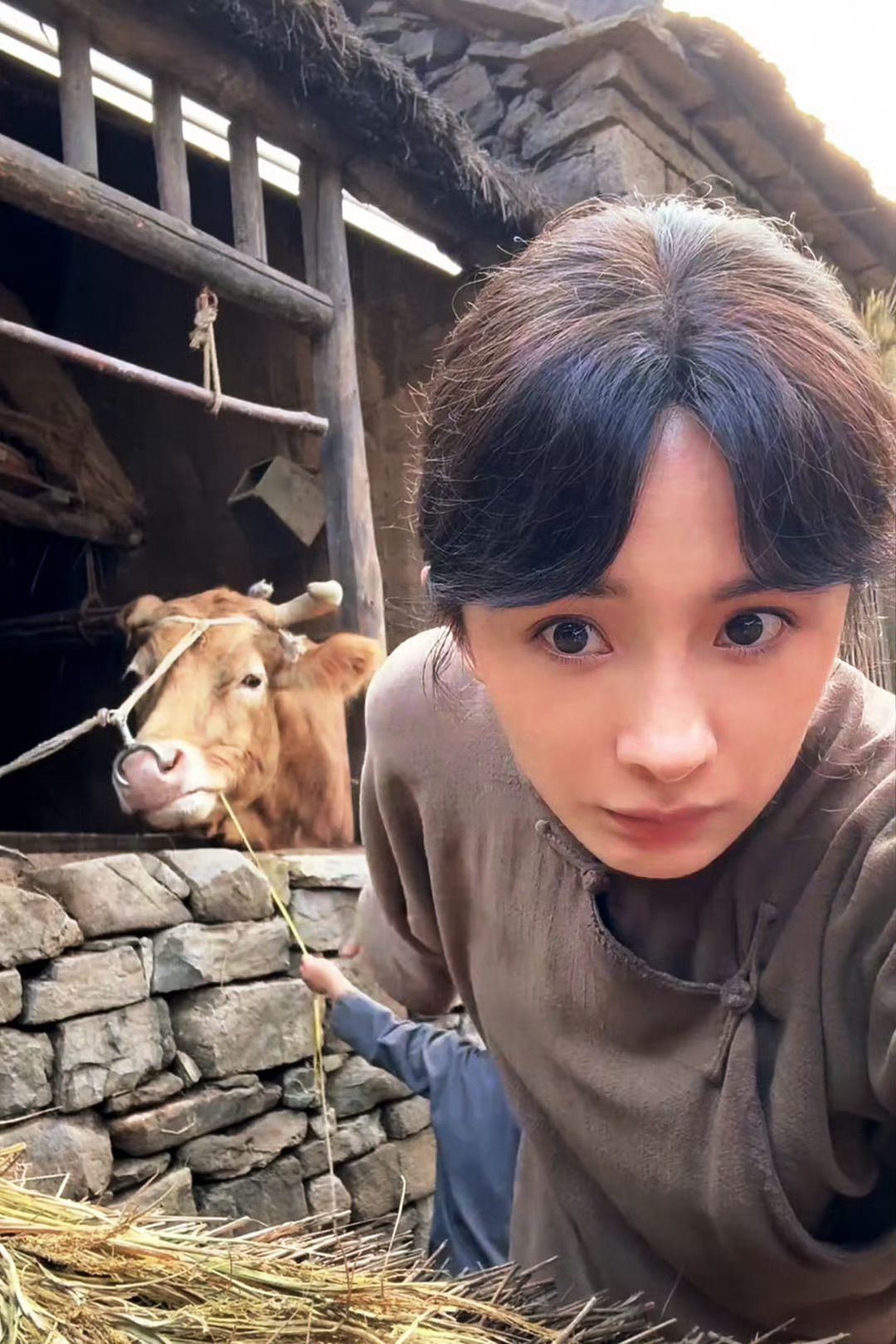 这个喂牛的女人长的好像杨幂啊，听说叫宁绣绣 ​​​