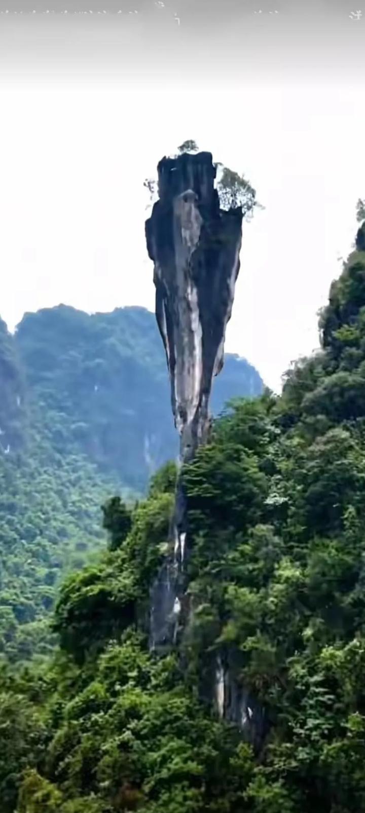 试对；

翠竹千竿生画意
家书万卷蕴乾坤

******

网图侵删