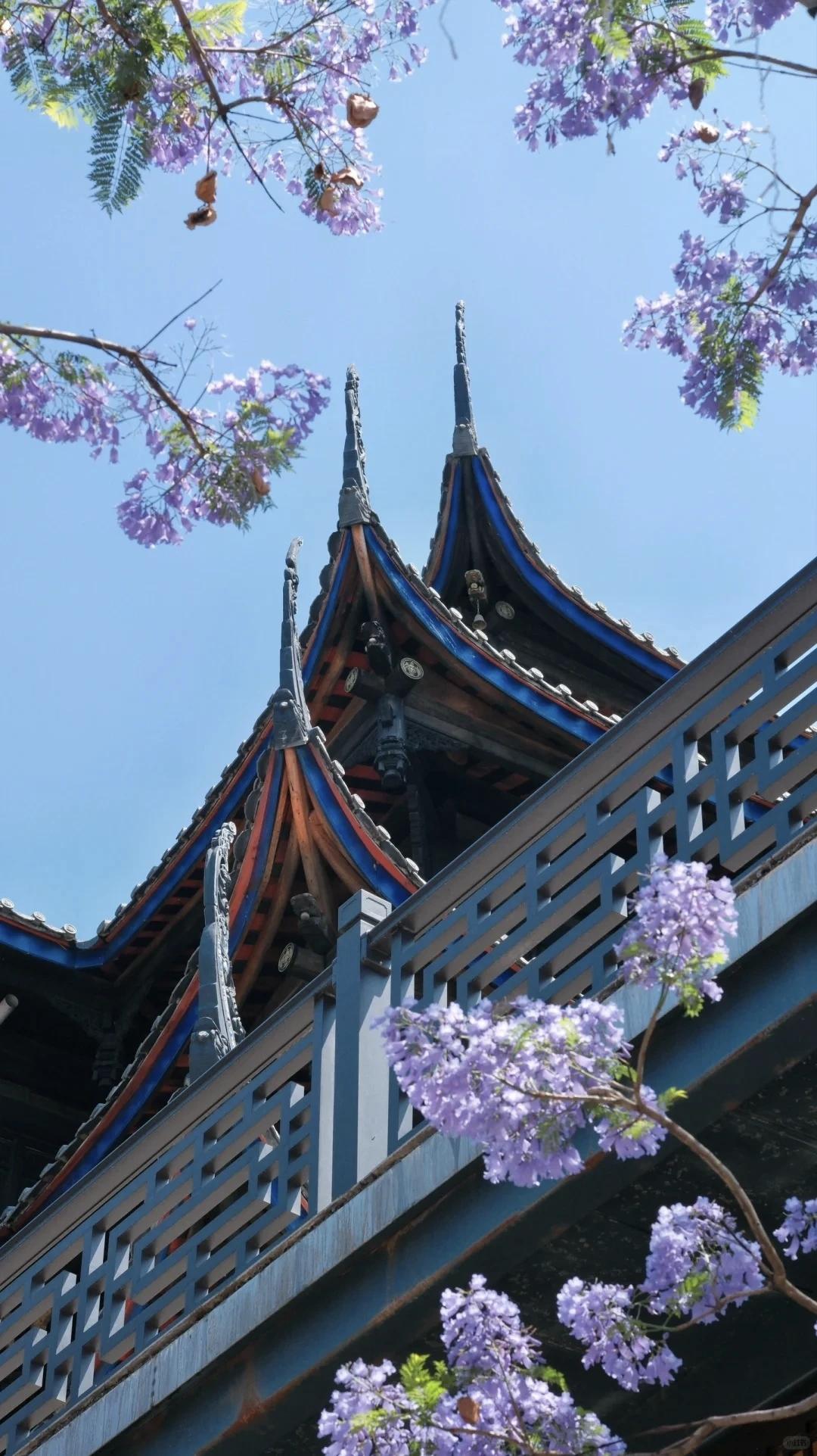 【不要告诉任何人你的过去，不要因为一时的投缘就随意亮出底牌。欺负你的人都是了解你