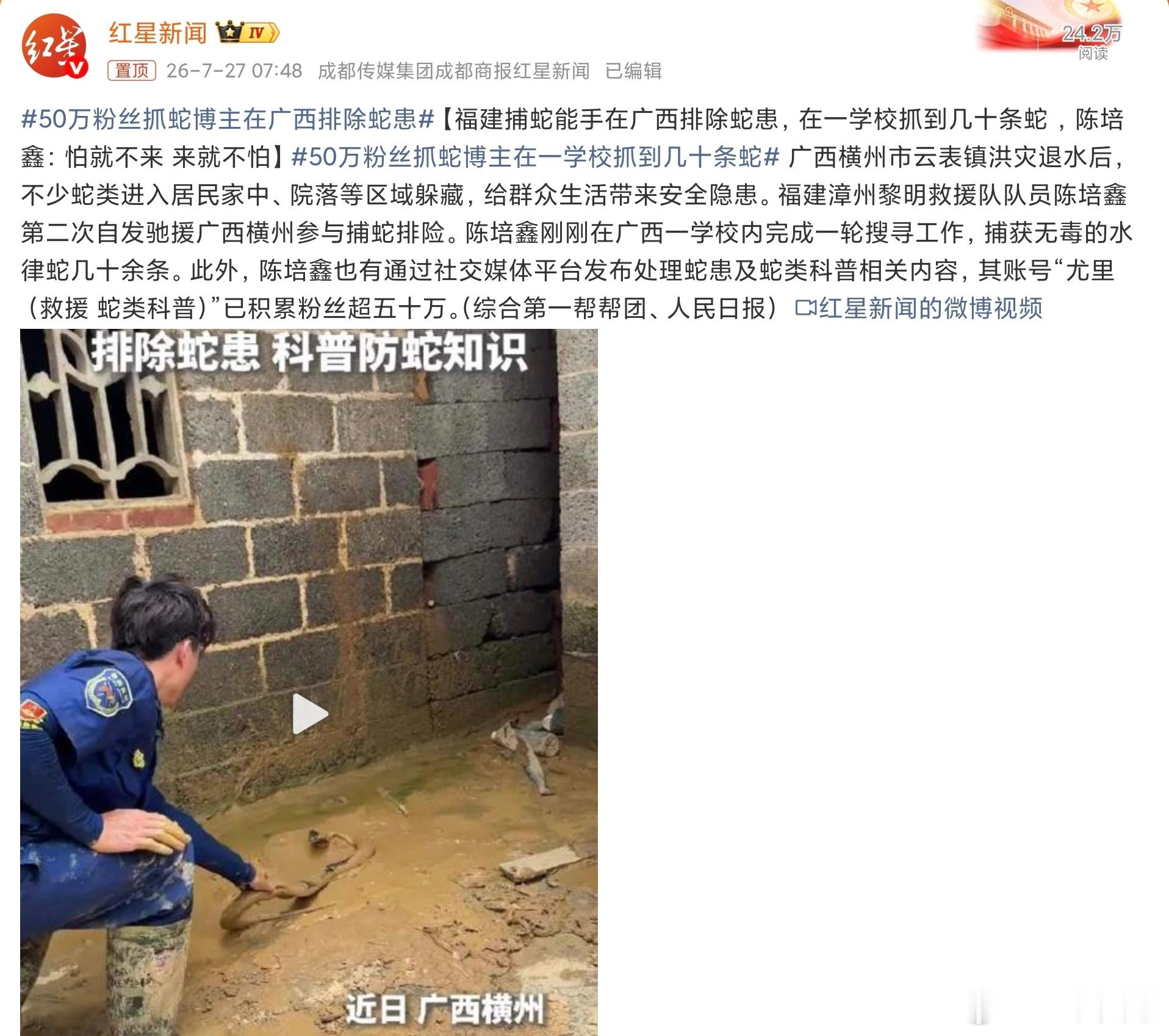 50万粉丝抓蛇博主在广西排除蛇患好样的，最怕蛇了，现在各种地质灾害蛇也多