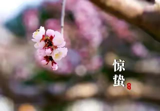 【草原三老兵的诗】
．
惊    蛰  
     ·
     其  一 
．